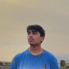 Visalan Sathiyarupan