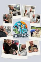 Alex Strelzik