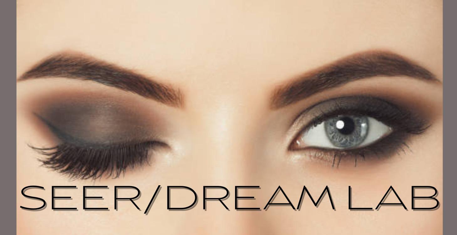 SEER/DREAM LAB