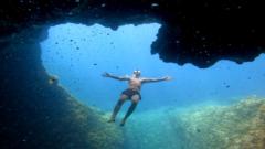 Francisco Javier Jiménez Arenas