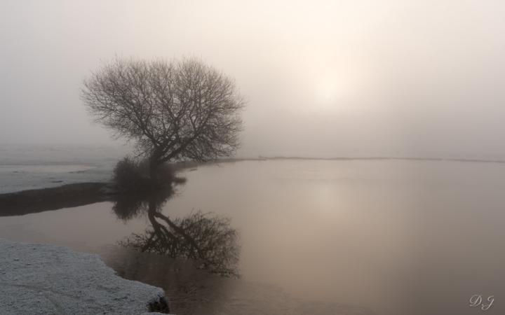 Solitude 
