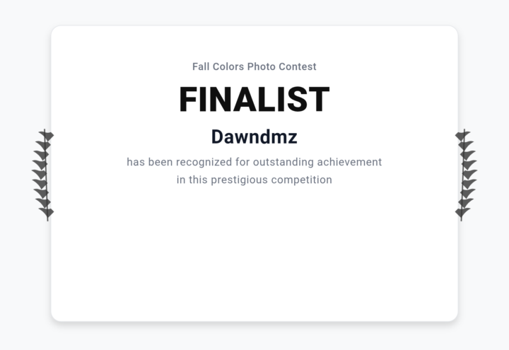 Won A Contest 