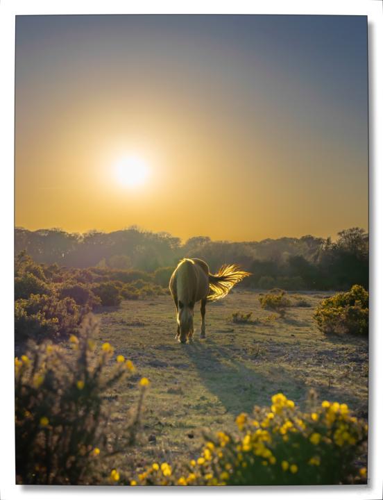 Tail Light