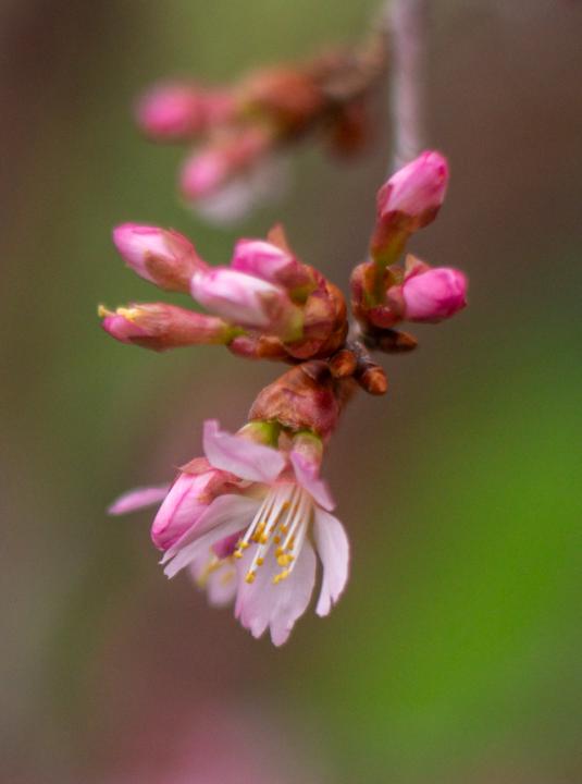 Spring is springing!