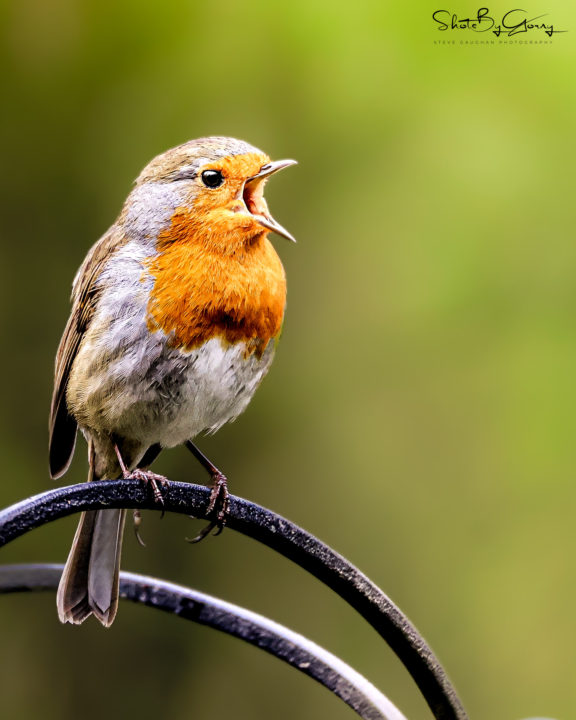 Finally starting socials 👀