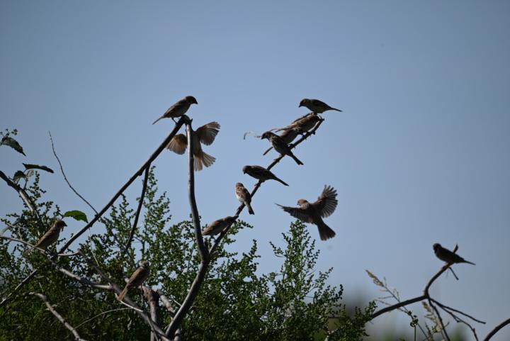 FInally posting my photos! 📷