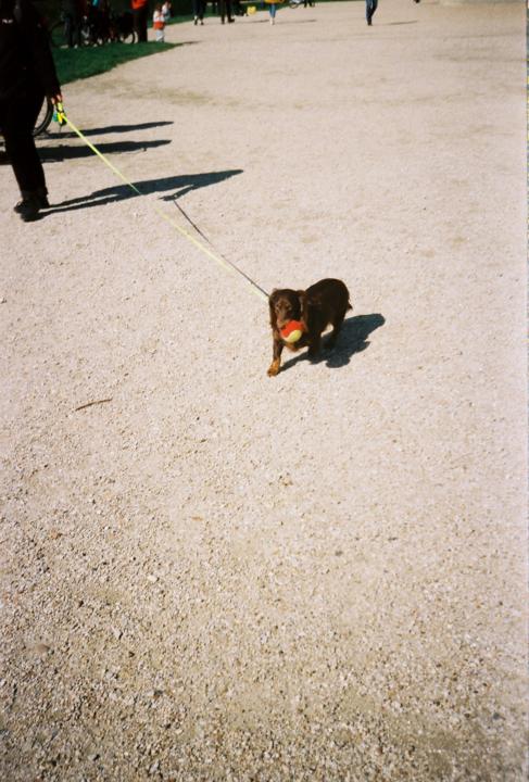 Film photos 🎞️