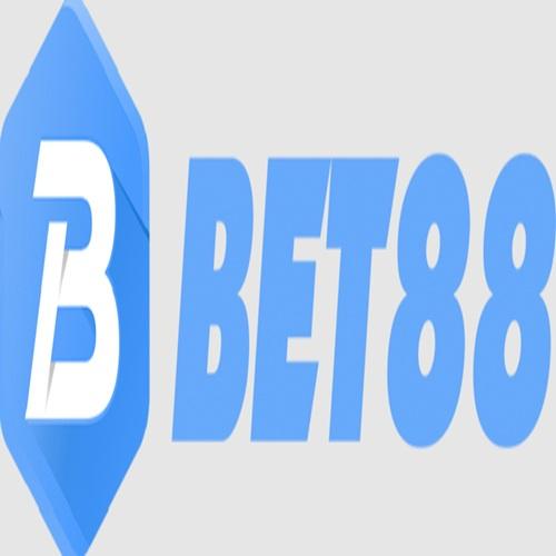 Betbiz Network