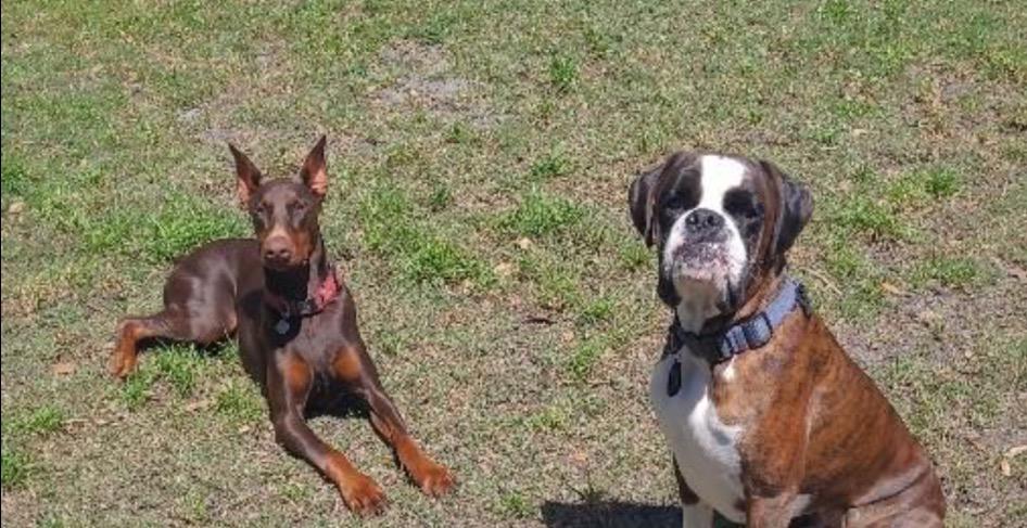 Start building clientele