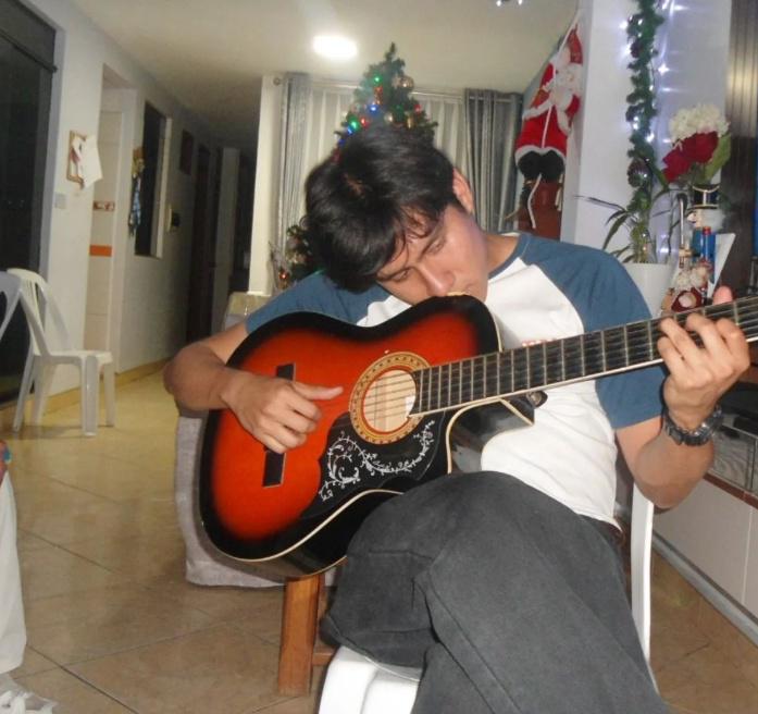 Diego Sebastian Morillo Castillo