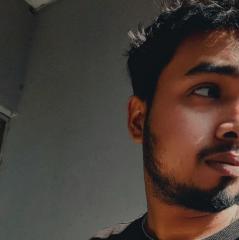 Dipta Ray