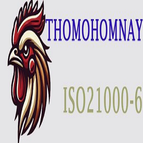 Thomo Hôm Nay