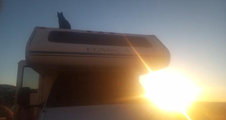 Angie's Twisted Studio