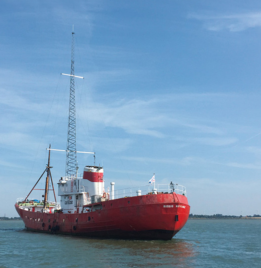 Welches Medium begleitet euch hauptsächlich durch die Feiertage