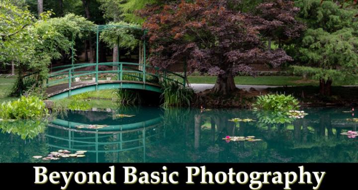 Beyond Basic Photography