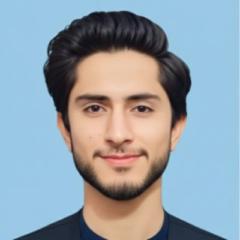 Mubashir H