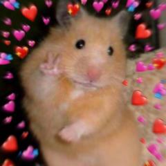 Camille LeRatDuFutur