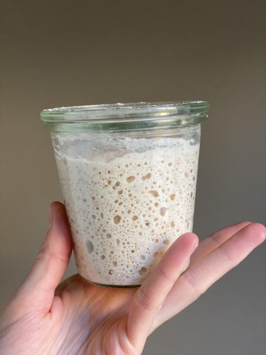 🥳 Announcing the Sourdough Starter Marathon!