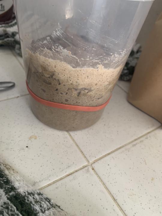 Sourdough Marathon