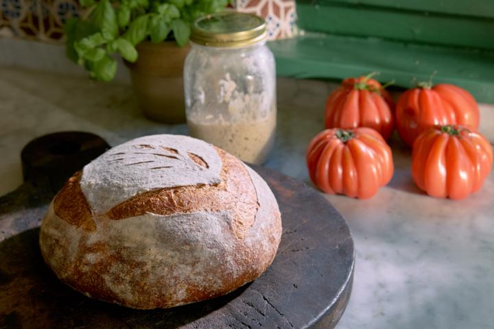 🍞 Why Choose a Sourdough Starter Over Commercial Yeast?