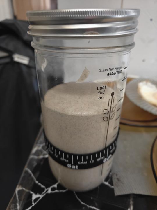 My first starter
