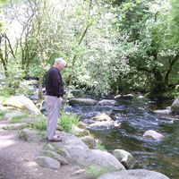 Michael Bott