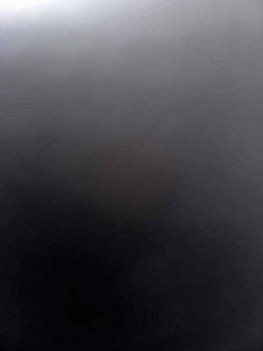 Loup Digi