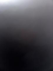 Loup Digi