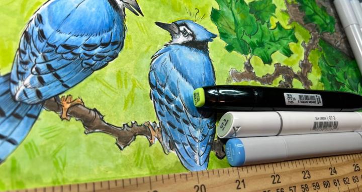 Make Drawing Fun Again