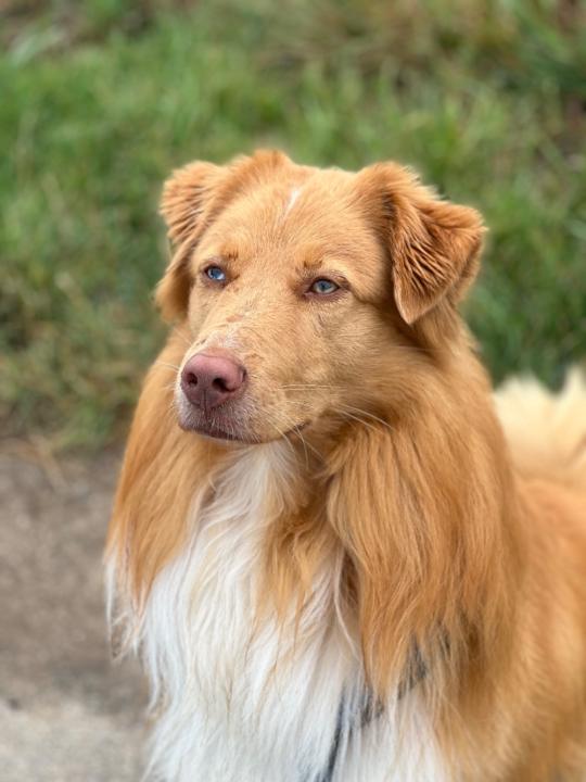 Jennifer Skandarajah