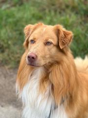 Jennifer Skandarajah