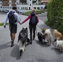 Meike Fröhlingsdorf