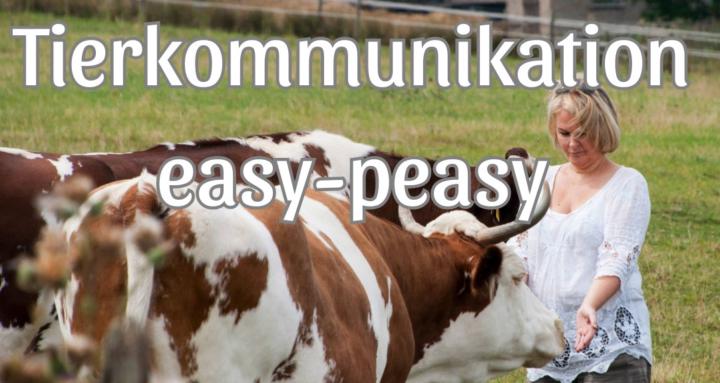 Tierkommunikation, easy-peasy