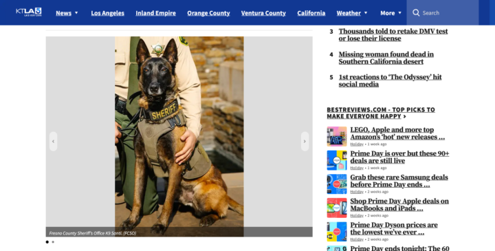 Sheriff’s K9 hit, killed by car after firework startles dog