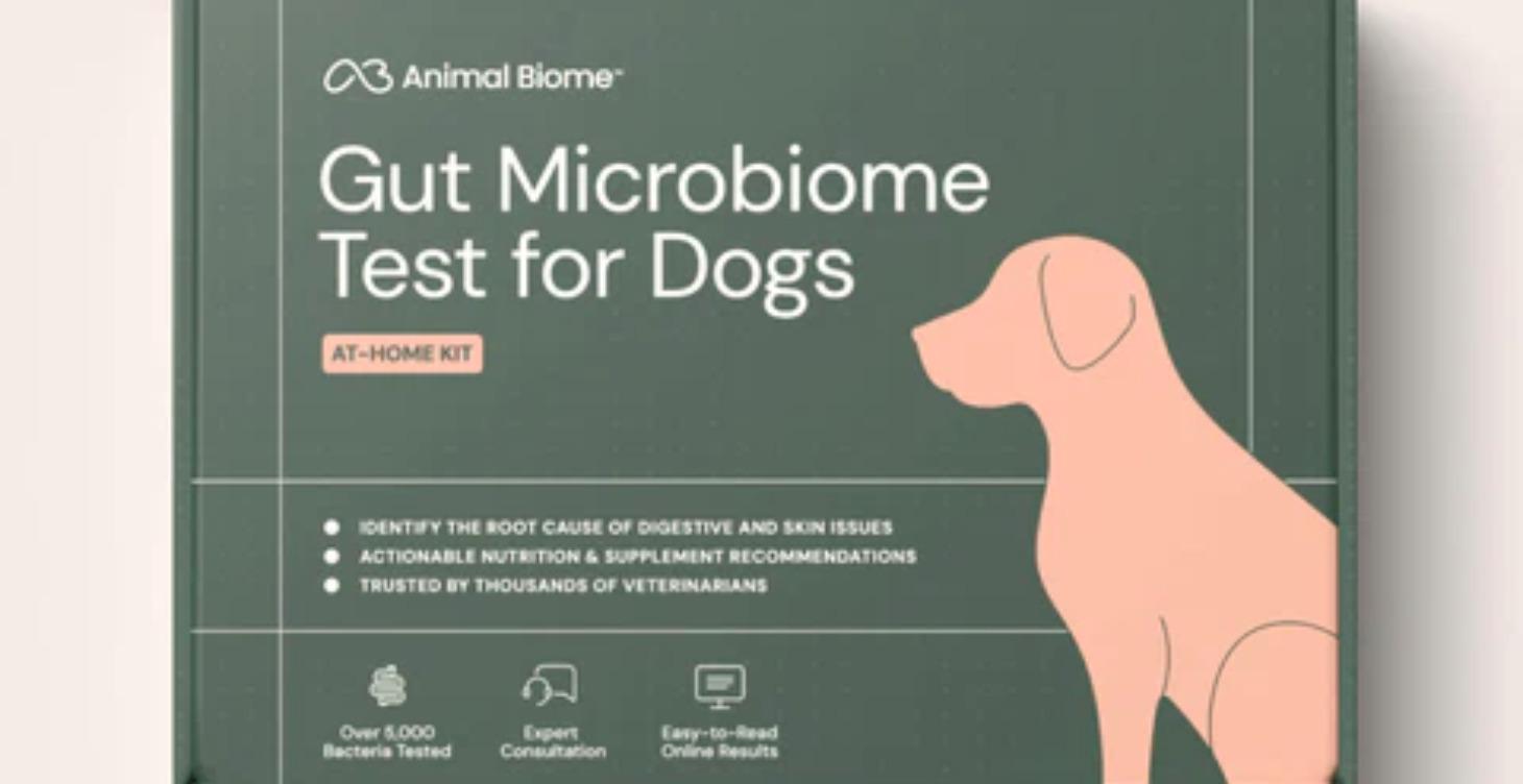 Gut Microbiome Test for Dogs