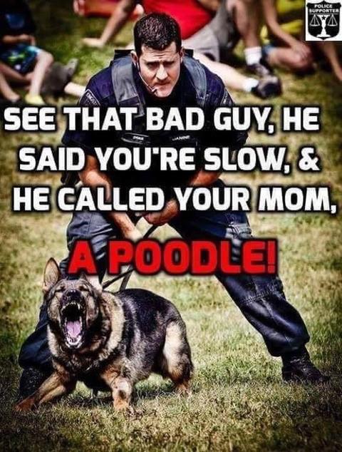 Daily Chuckle
