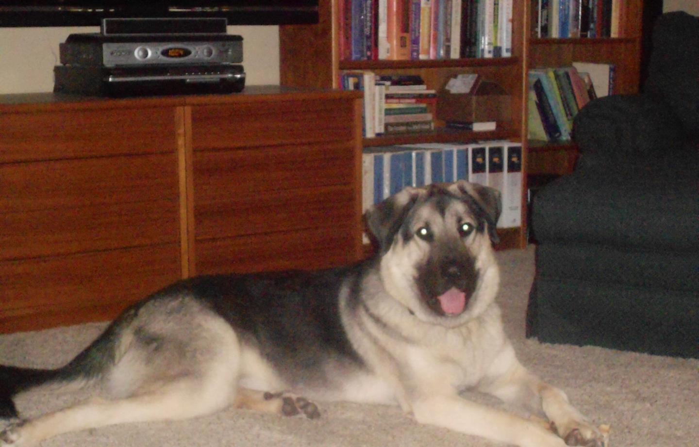 Simcha Hub of Pet Physiology