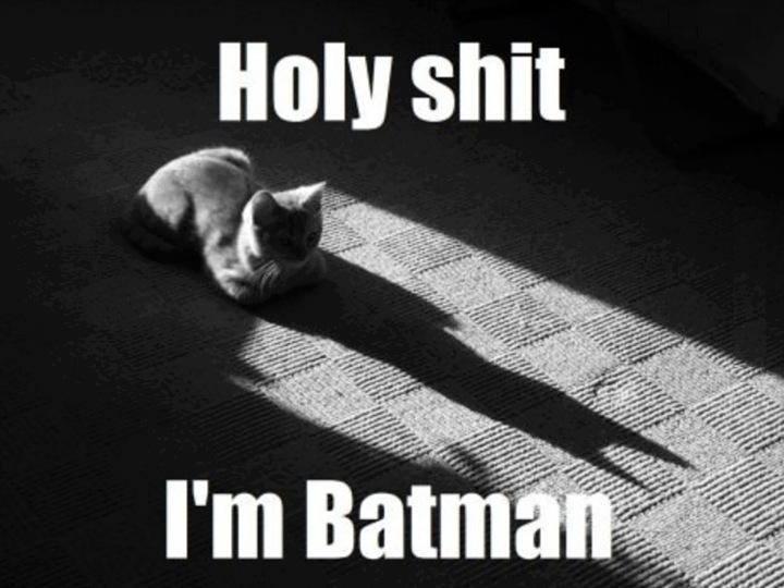 Friday Chuckle