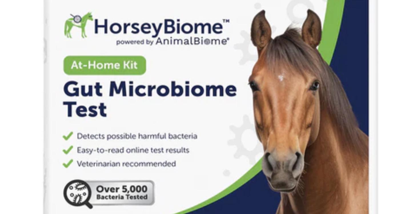 Gut Microbiome Test for Horses