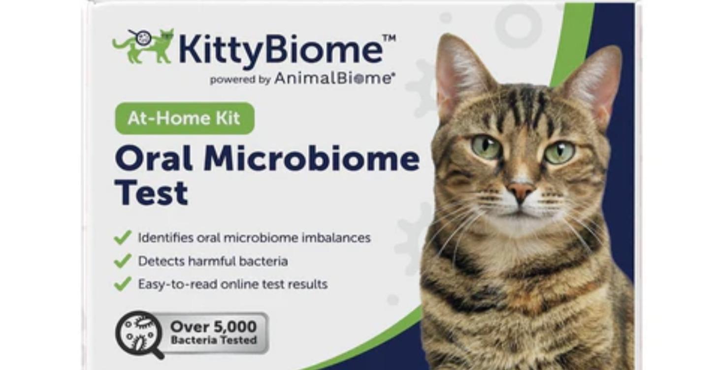 Oral Microbiome Test for Cats