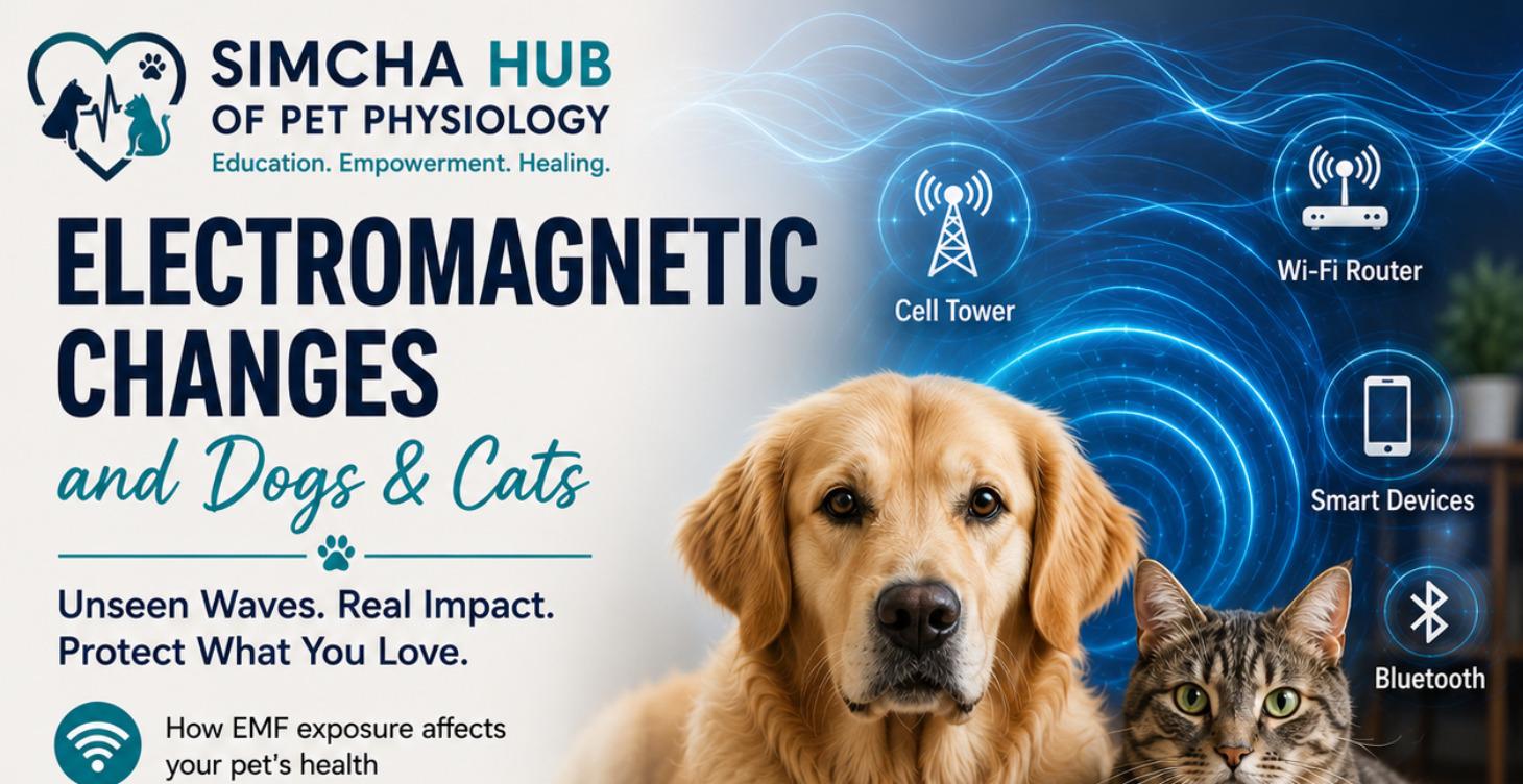 When the Field Shifts: Electromagnetic Changes