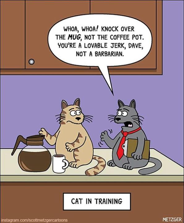 Chuckle chuckle