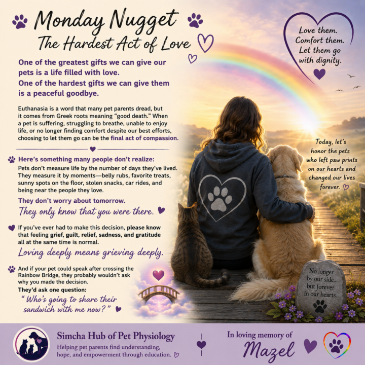 Monday Nugget: The Hardest Act of Love