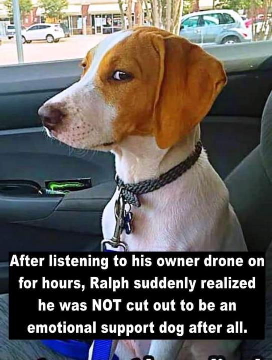 Monday Chuckle