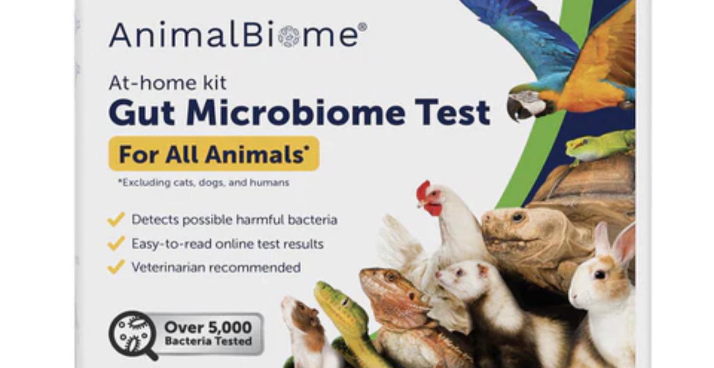 Gut Microbiome Test for Exotic Animals