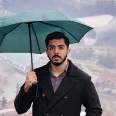 Hamed Mohammadi
