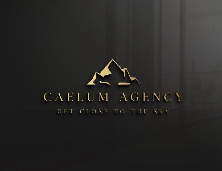 Caelum Agency
