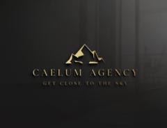 Caelum Agency