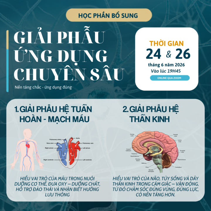 THÔNG BÁO BỔ SUNG HỌC PHẦN – KHÓA GIẢI PHẪU ỨNG DỤNG CHUYÊN SÂU