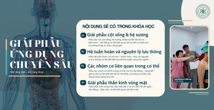 Khóa giải phẫu chuyên sâu - đã được cập nhật lên App 
